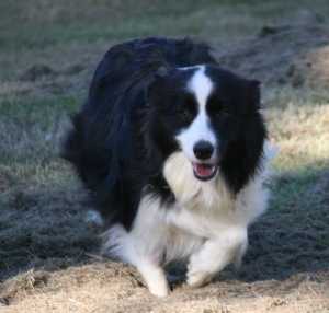 Zoe