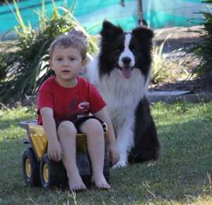 CODY AND HIS BEST FRIEND