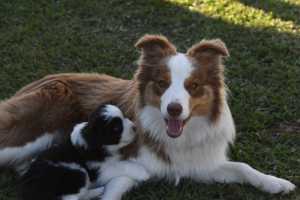 Gypsy playing with a baby