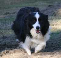 Zoe