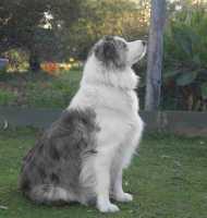 SKYE