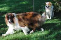 Mac and Kayla
