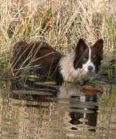 Bindi loving life